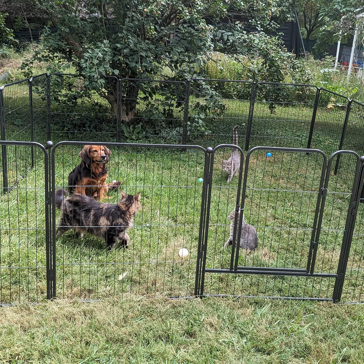 Corralito portátil para perros al aire libre, corral para perros en interiores,...