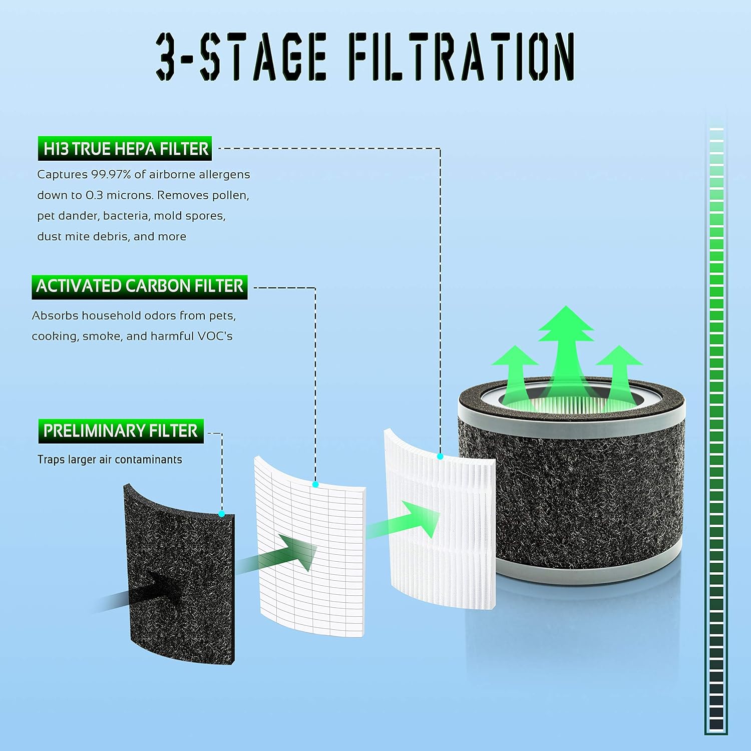 Flintar FLT4200 H13 - Filtro L de repuesto True HEPA, compatible con los...