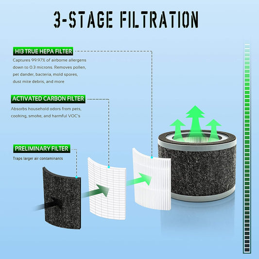 Flintar FLT4200 H13 - Filtro L de repuesto True HEPA, compatible con los...