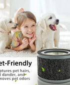 Flintar FLT4200 H13 - Filtro L de repuesto True HEPA, compatible con los...