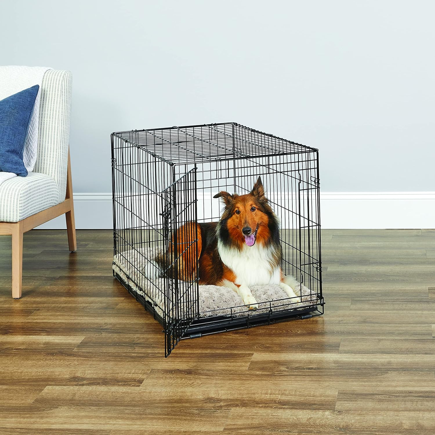 Jaula de metal para perros, con puerta simple o doble, plegable de New World,...