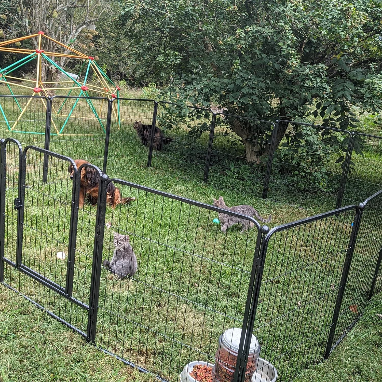 Corralito portátil para perros al aire libre, corral para perros en interiores,...