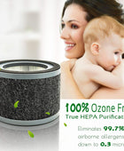 Flintar FLT4200 H13 - Filtro L de repuesto True HEPA, compatible con los...