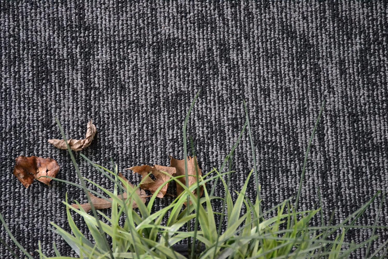 Furnish my Place Alfombra moderna para interiores y exteriores, color negro,...