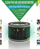 Flintar FLT4200 H13 - Filtro L de repuesto True HEPA, compatible con los...