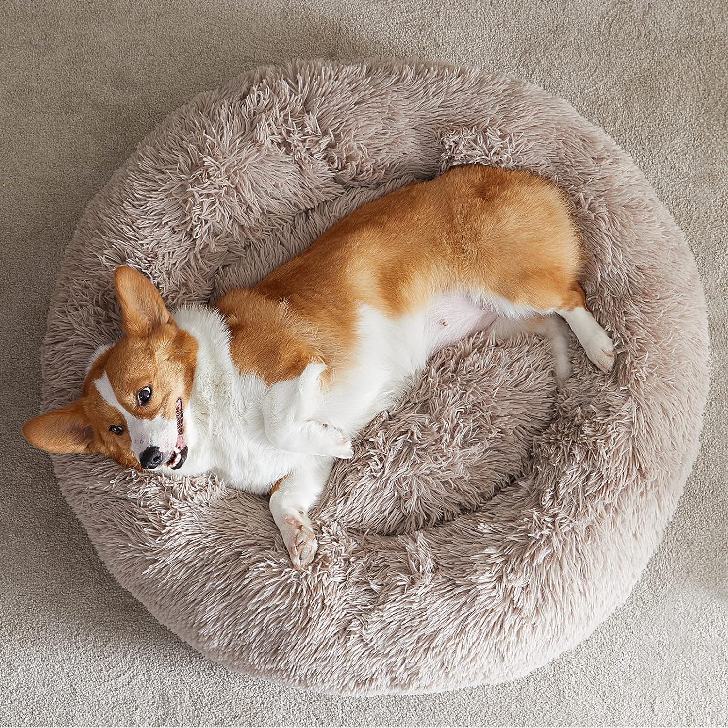 WNPETHOME - Cama calmante para perros y gatos, anti-ansiedad, de piel...