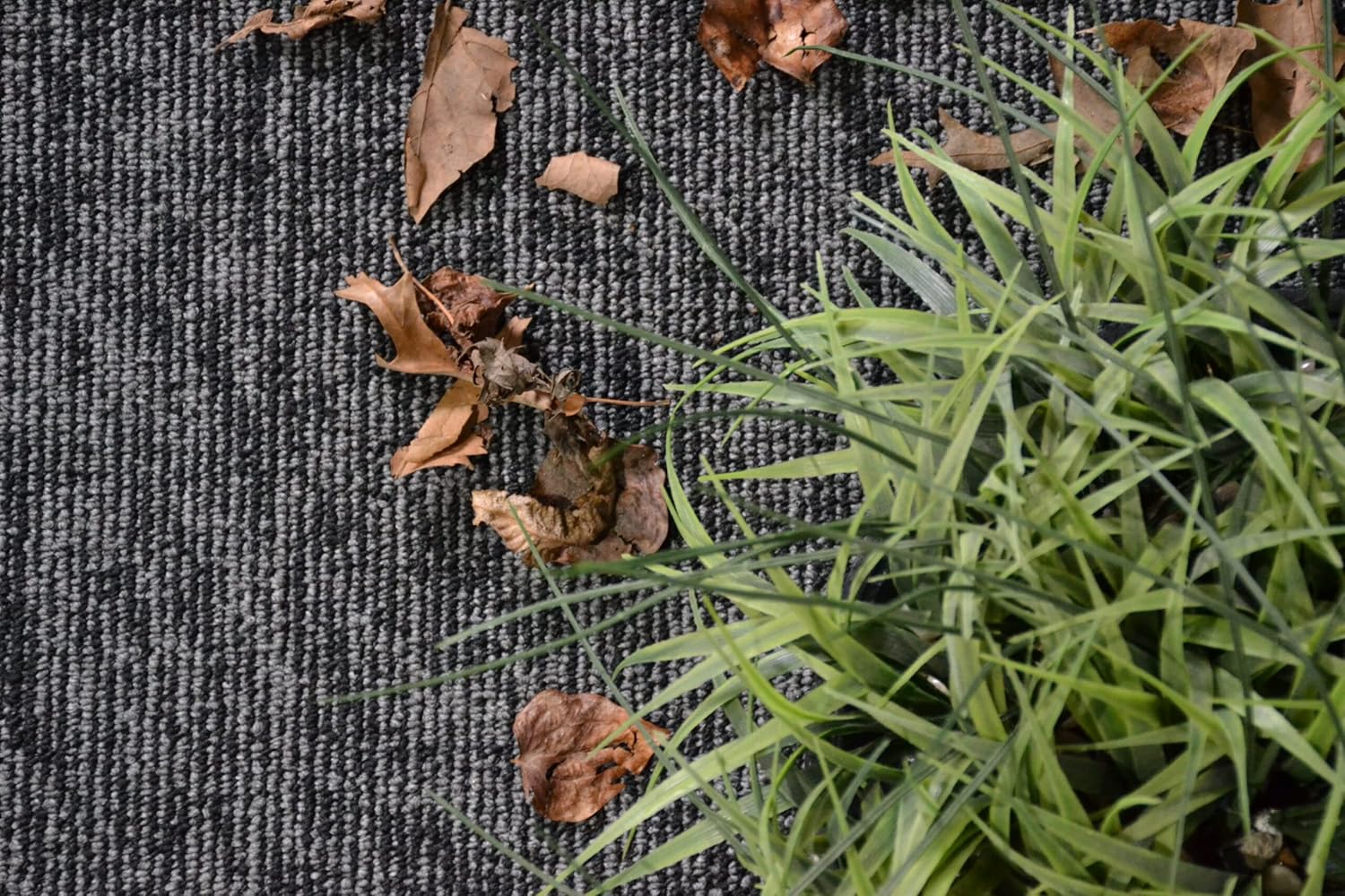 Furnish my Place Alfombra moderna para interiores y exteriores, color negro,...