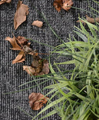 Furnish my Place Alfombra moderna para interiores y exteriores, color negro,...