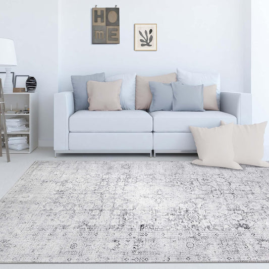 SUPERIOR Indoor Large Area Rug, Unique Rugs for Floor Accent, Bedroom,