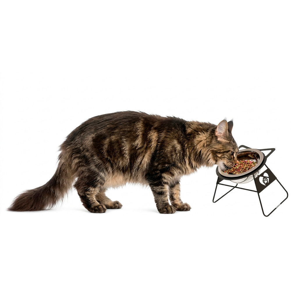 Comedero Para Gatos Elevado Con Bowl Acero Inoxidable Rejiplas