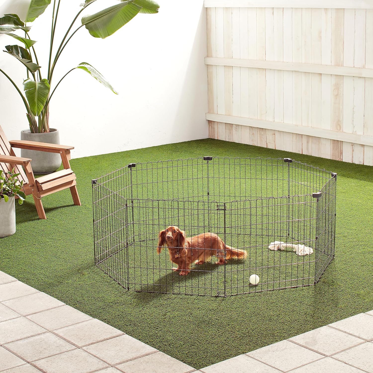 Tienda Basics Bolígrafo de metal octogonal plegable para perros, extra pequeño,...