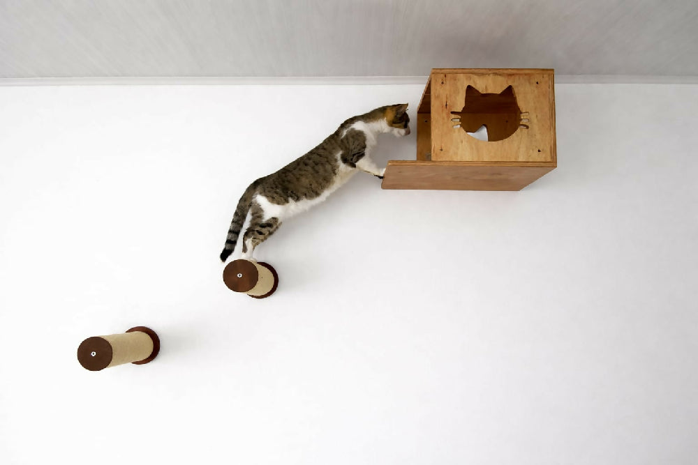 Combo Casa Flotante Volare, Color Cafe Mas 2 Escalones Para Gato