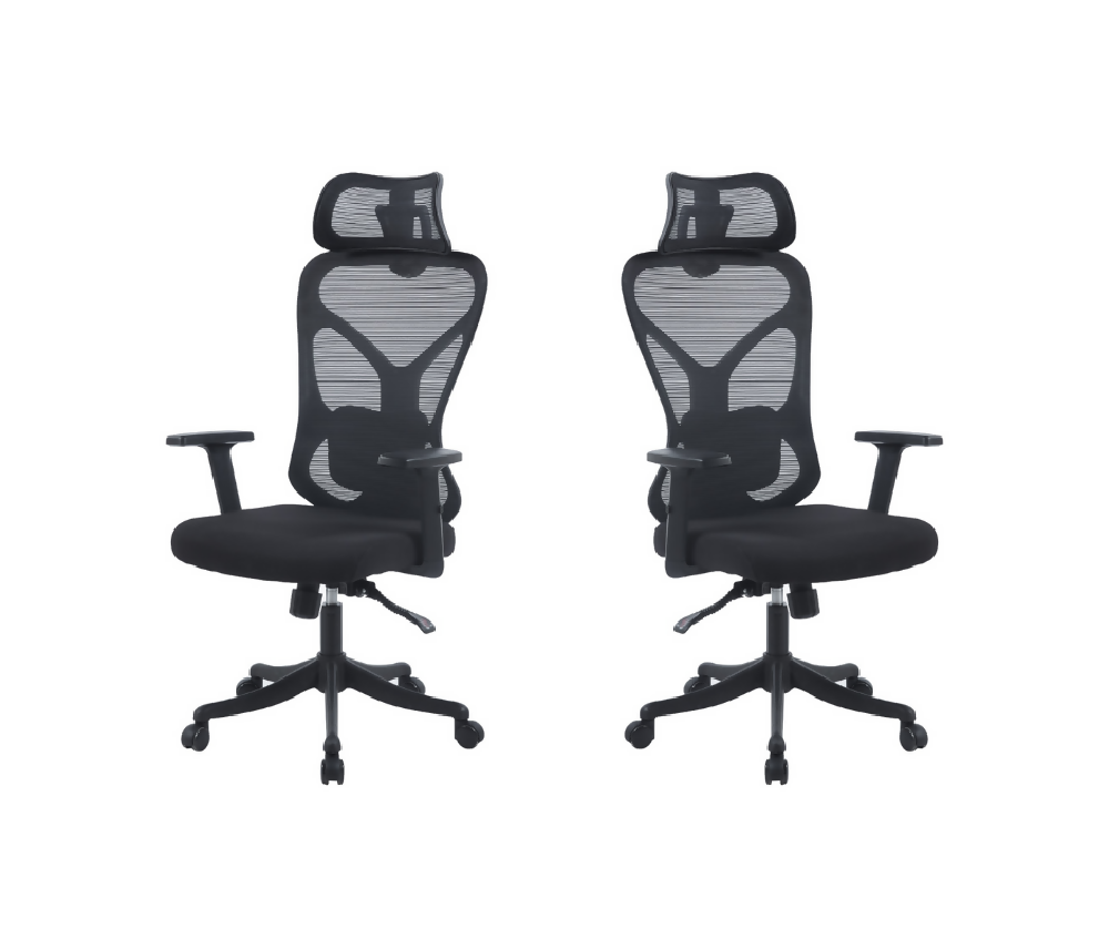 Silla gerencial Neo 2D normal X2 unidades