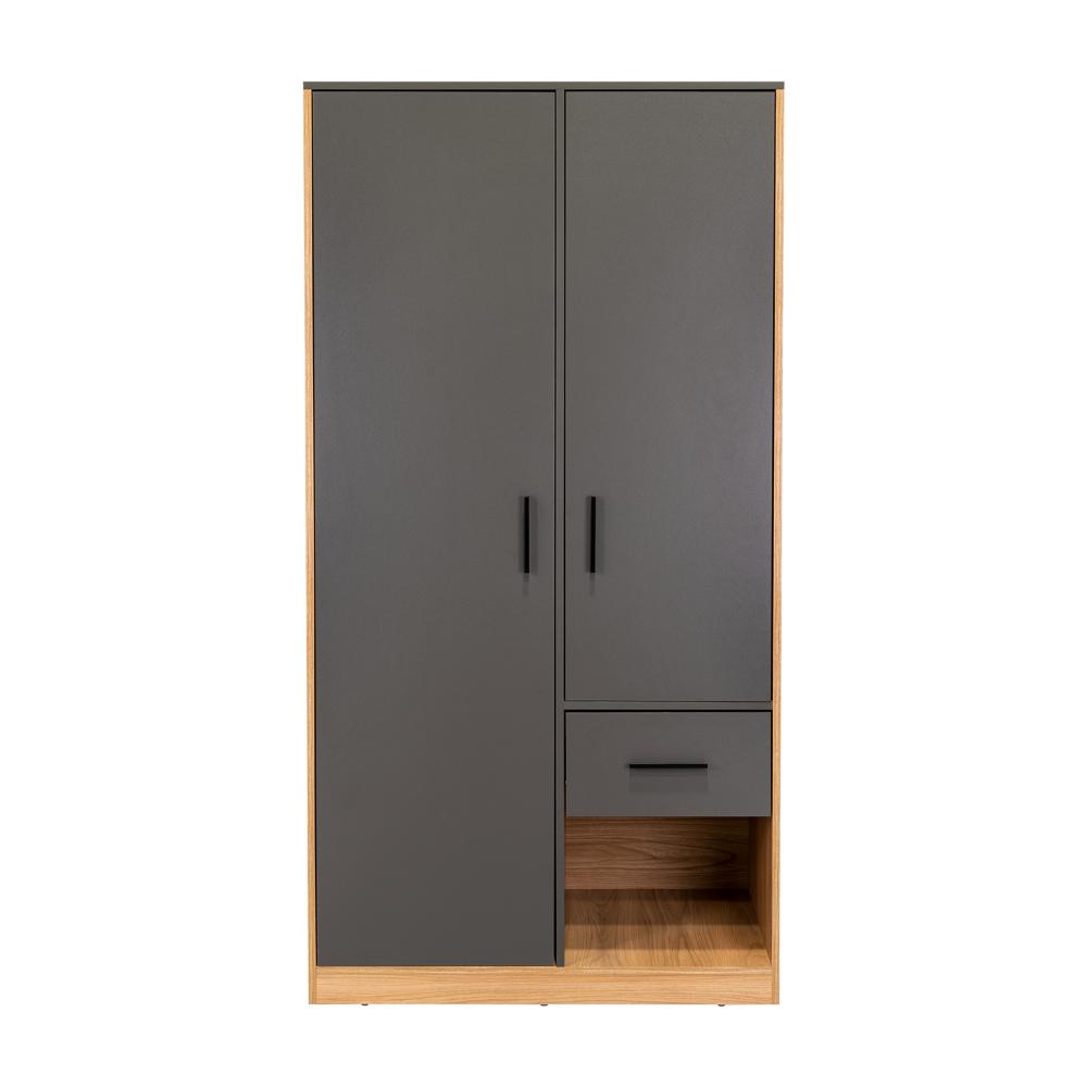 Closet Ader, Plata Oscuro y Fresno Europeo, de dos puertas ZF