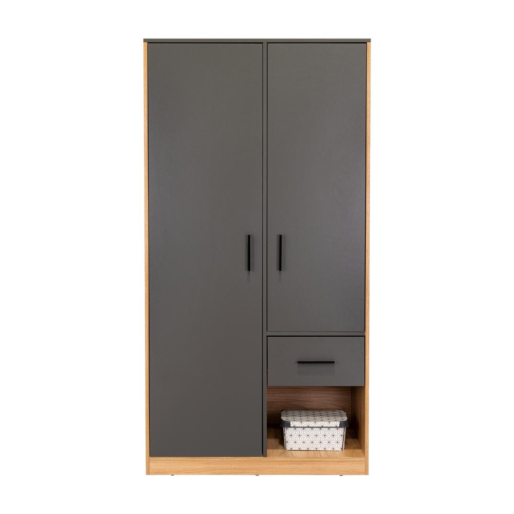 Closet Ader, Plata Oscuro y Fresno Europeo, de dos puertas ZF