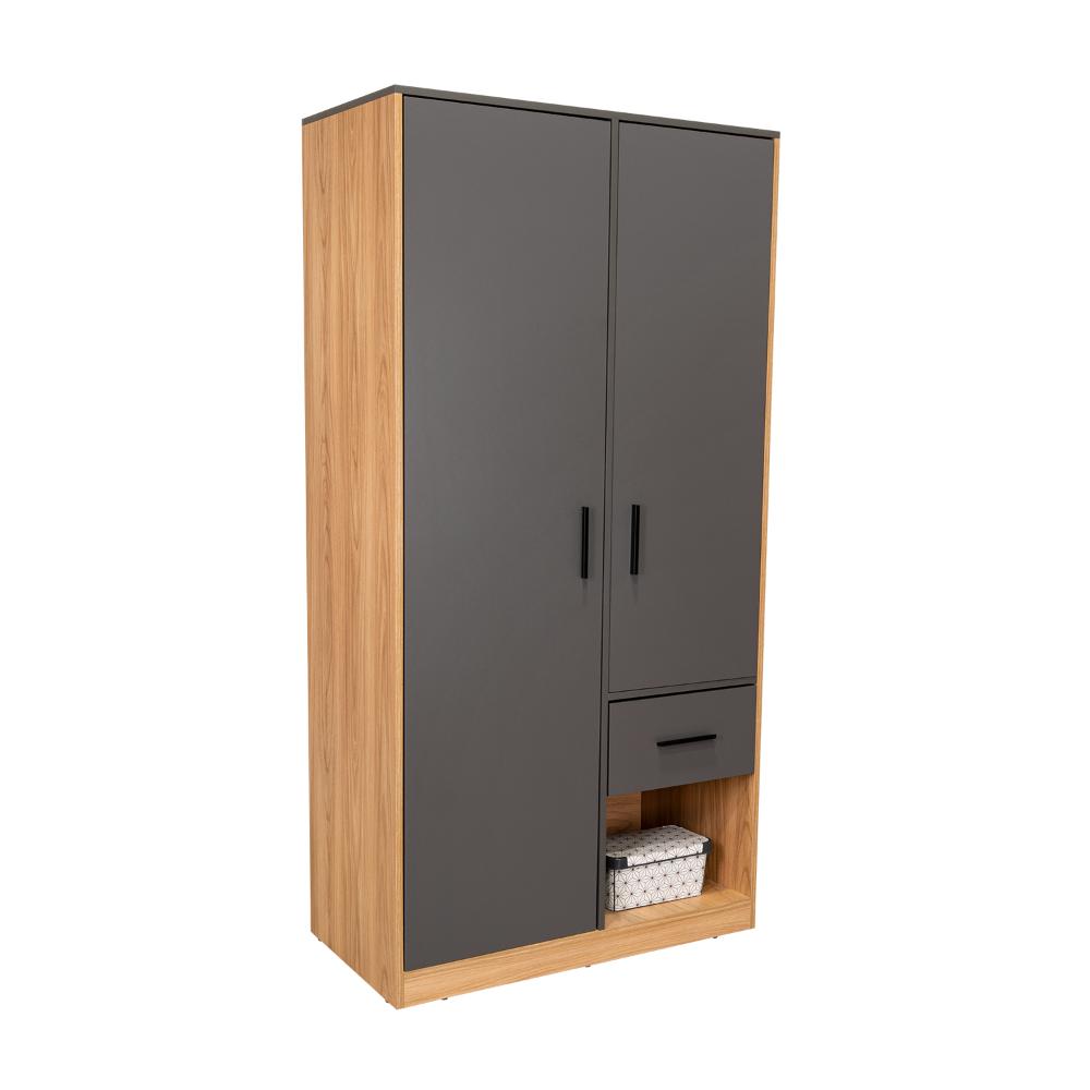 Closet Ader, Plata Oscuro y Fresno Europeo, de dos puertas ZF