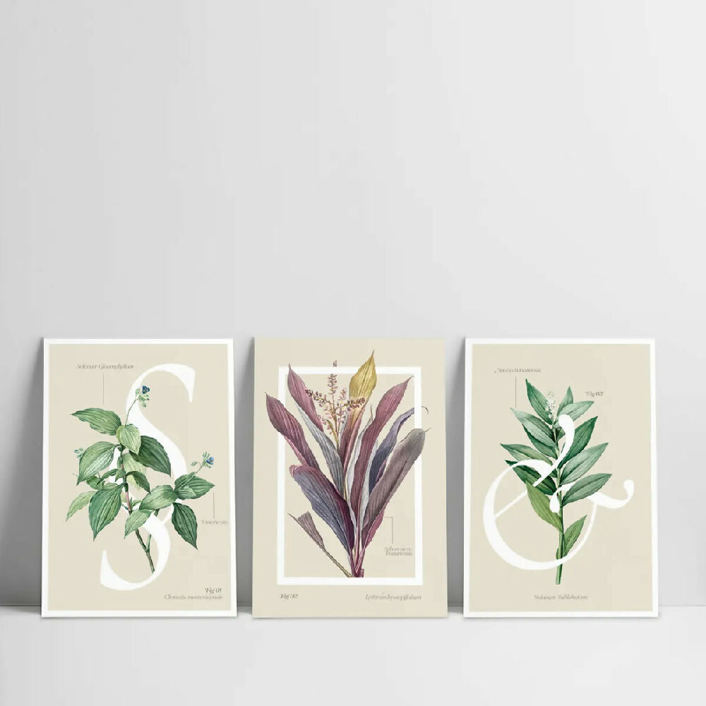 Cuadros decorativos Triptico Abstract Botanic 30x40