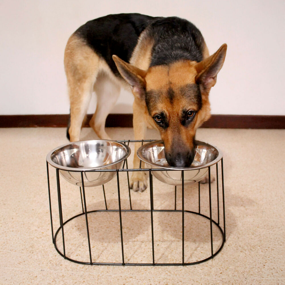 Comedero Elevado Doble para Perros Grandes con Bowls en Acero Inoxidable