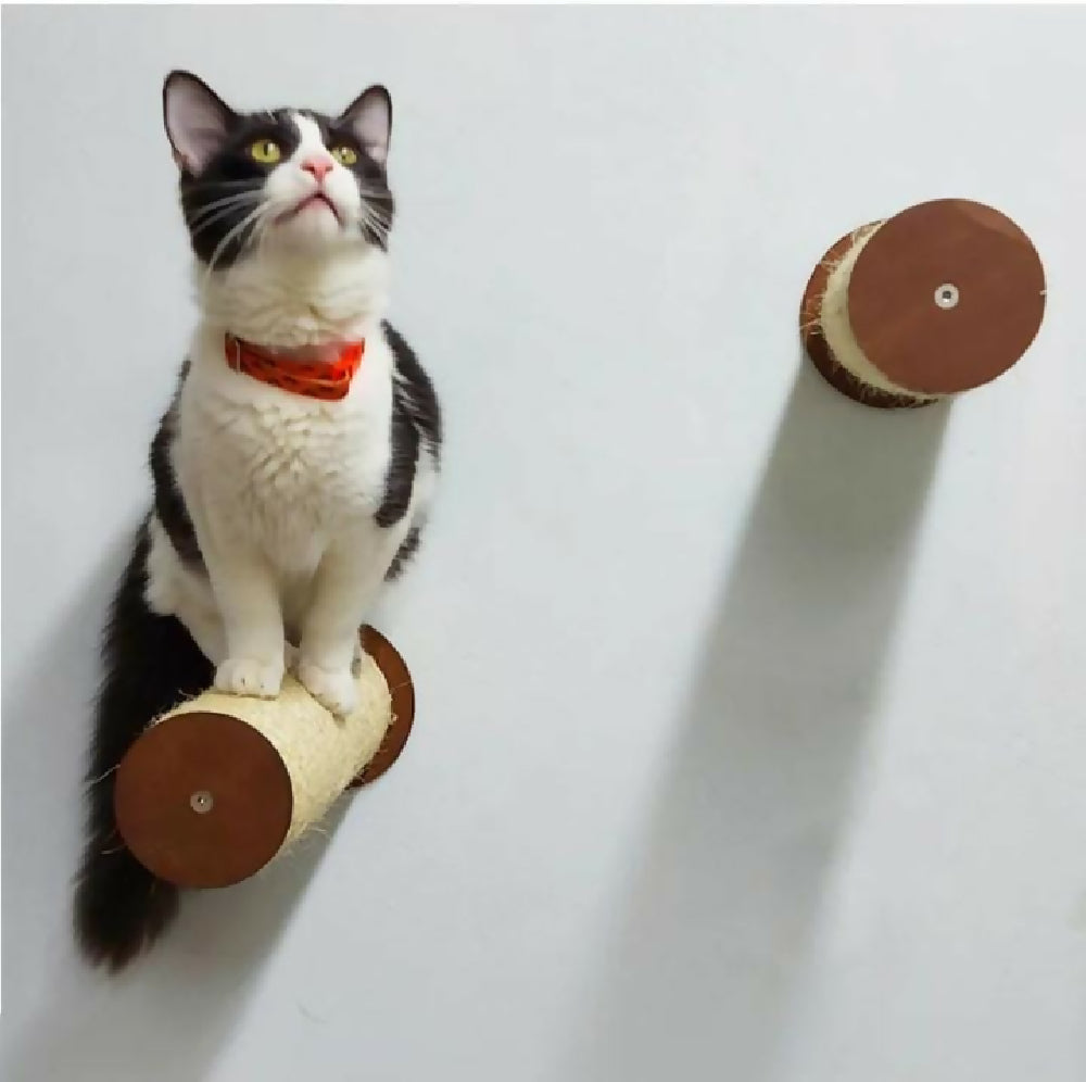 2 Escalones Xteper, Color Cafe Para Gato