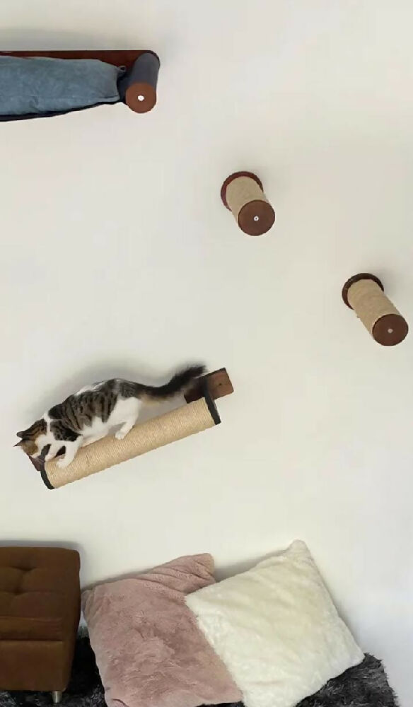 2 Escalones Xteper, Color Cafe Para Gato