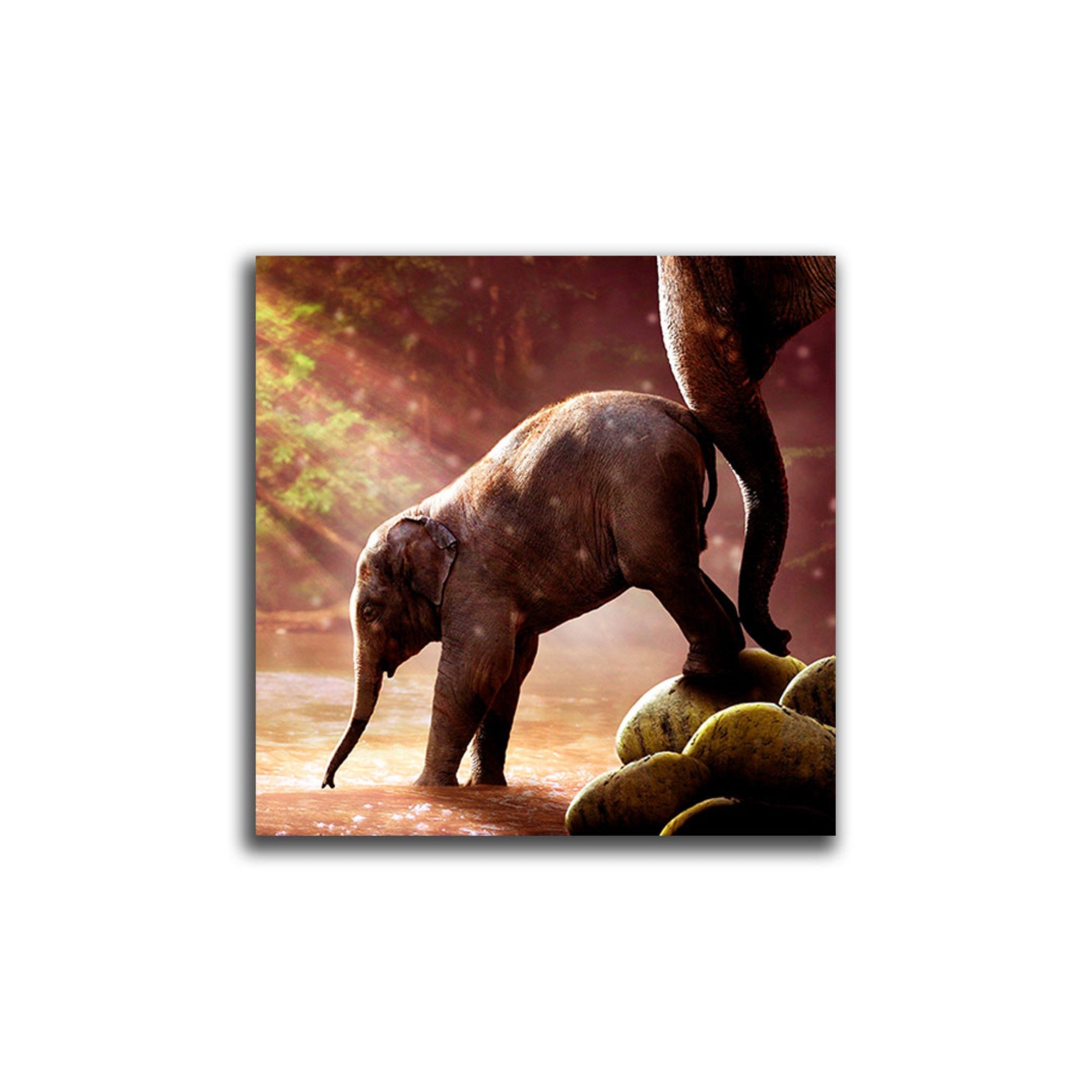 Cuadro Decorativo Elefante Bebe L 60X60 cm - Impresion en Tela