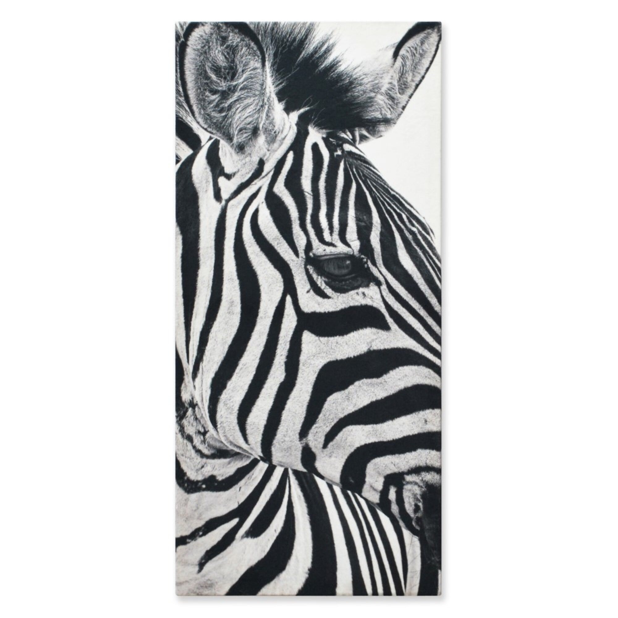 Cuadro Decorativo Cebra Fondo Blanco M 70x45 cm - Impresion en Tela