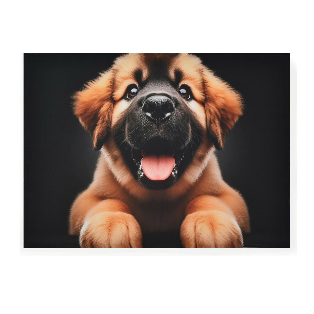 XXL CACHORRO (Personalizado)