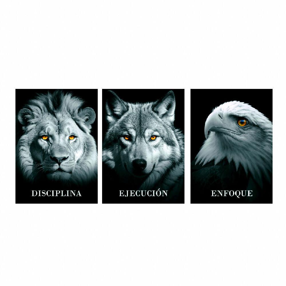 Lienzo Tríptico Cuadros Disciplina Ejecución Enfoque Set X 3 de 60x43cm c/u