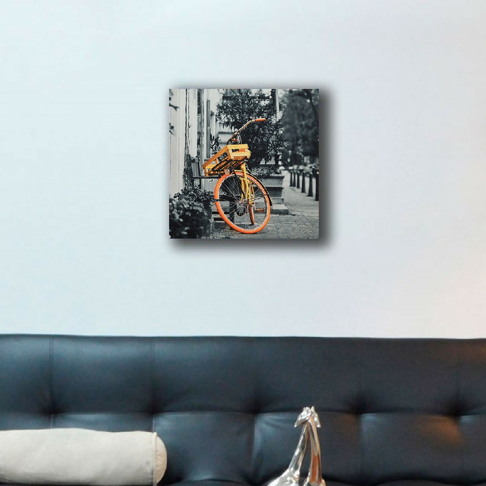 bicicleta S_1