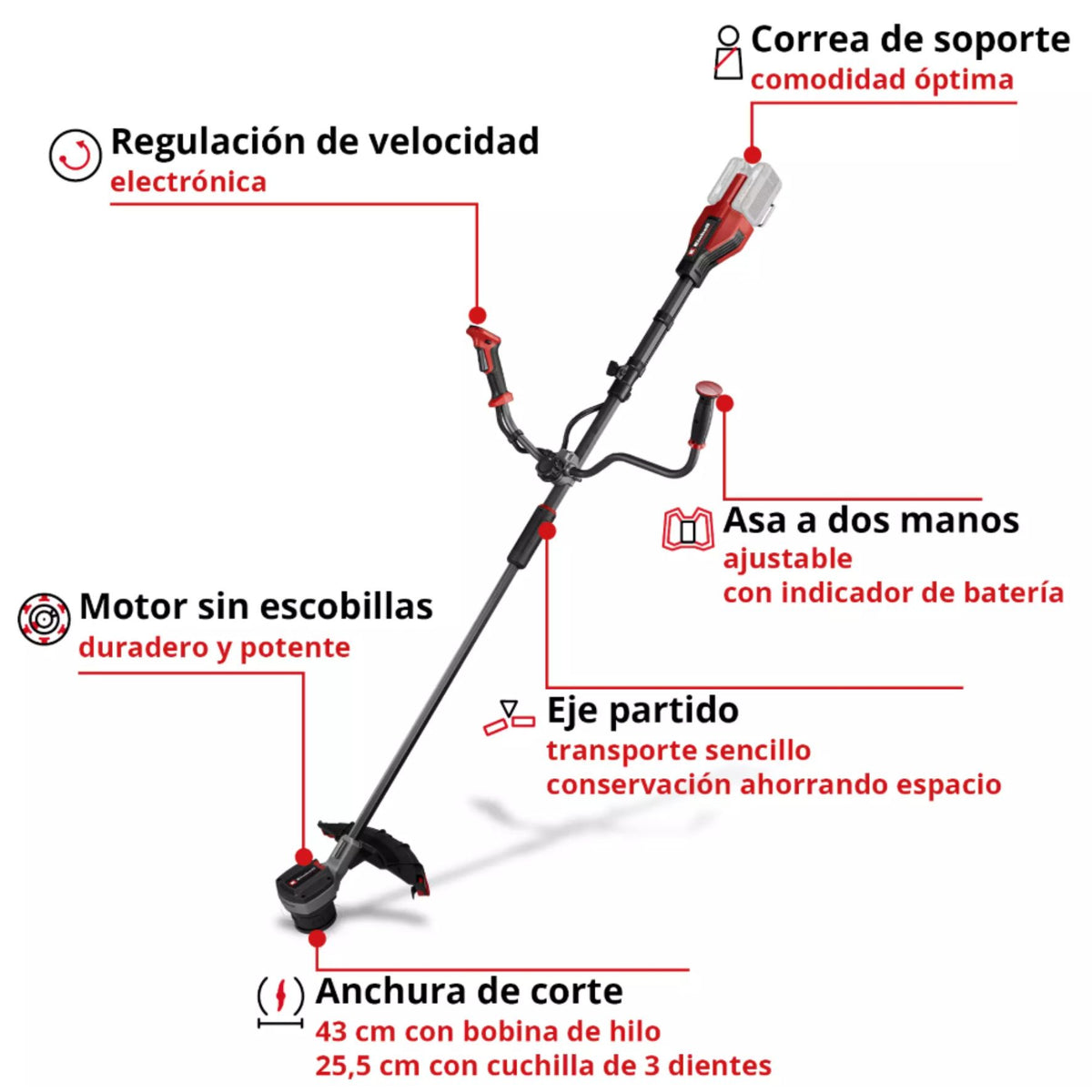 desbrozadora Gaudaña Inalámbrica Einhell Gp-bc 36/430 Li + 2 4ah Baterias + 2 Cargadores
