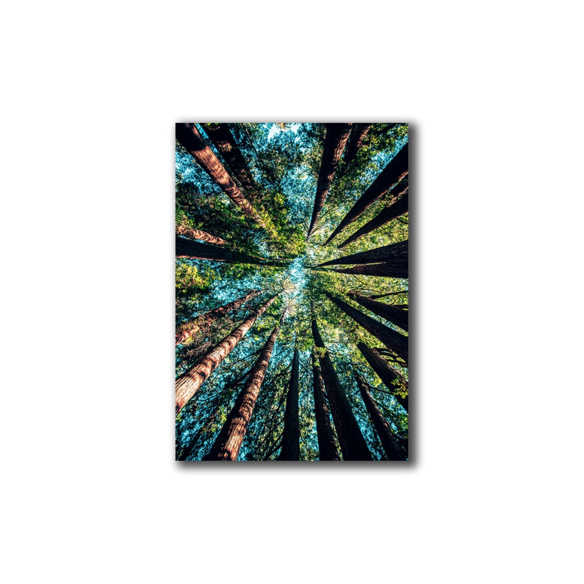 Cuadro Decorativo Bosque M 70x45 cm - Impresion en Tela Poliester