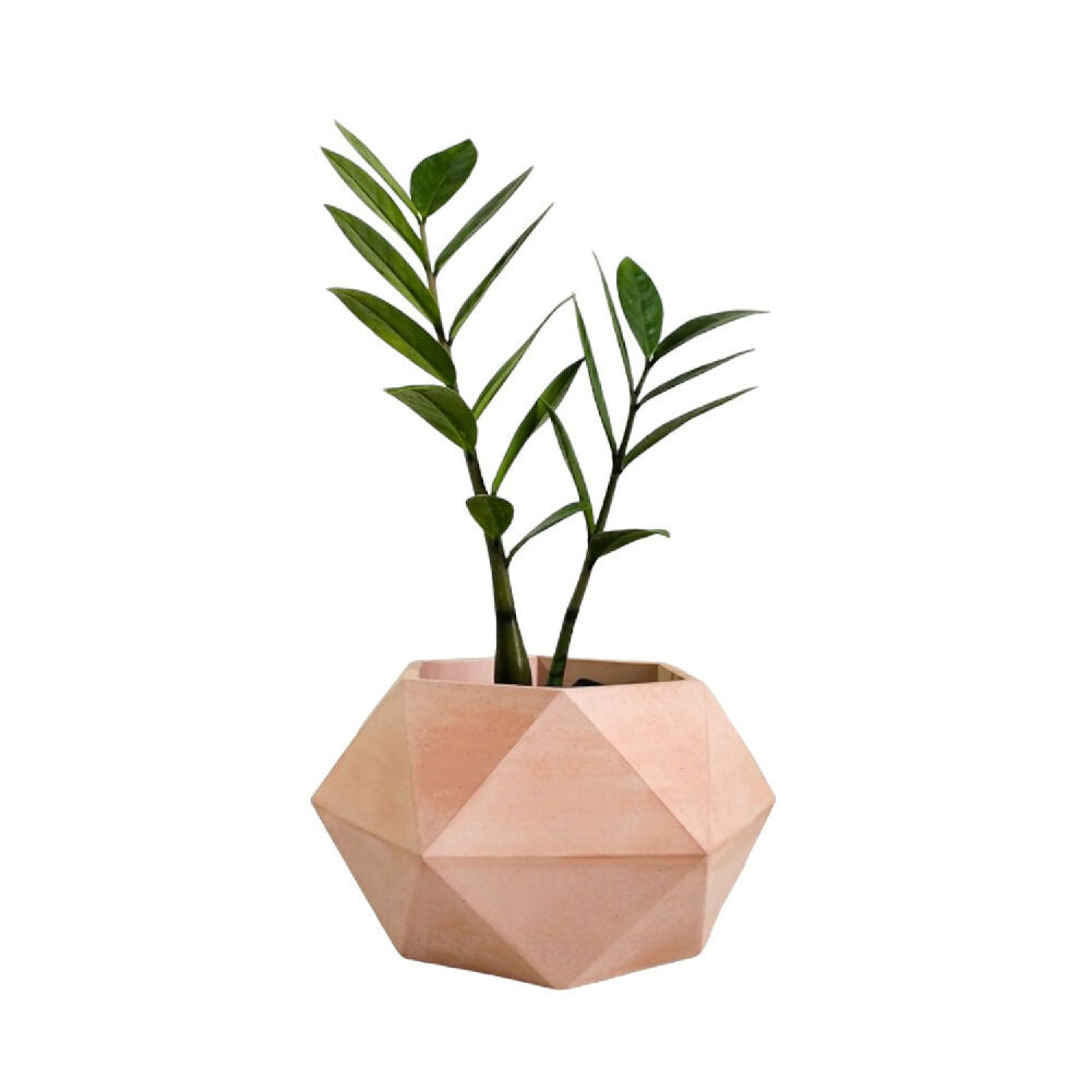 matera de mesa en cemento adara palo de rosa  de concreto tienda online de materas y decoración_02