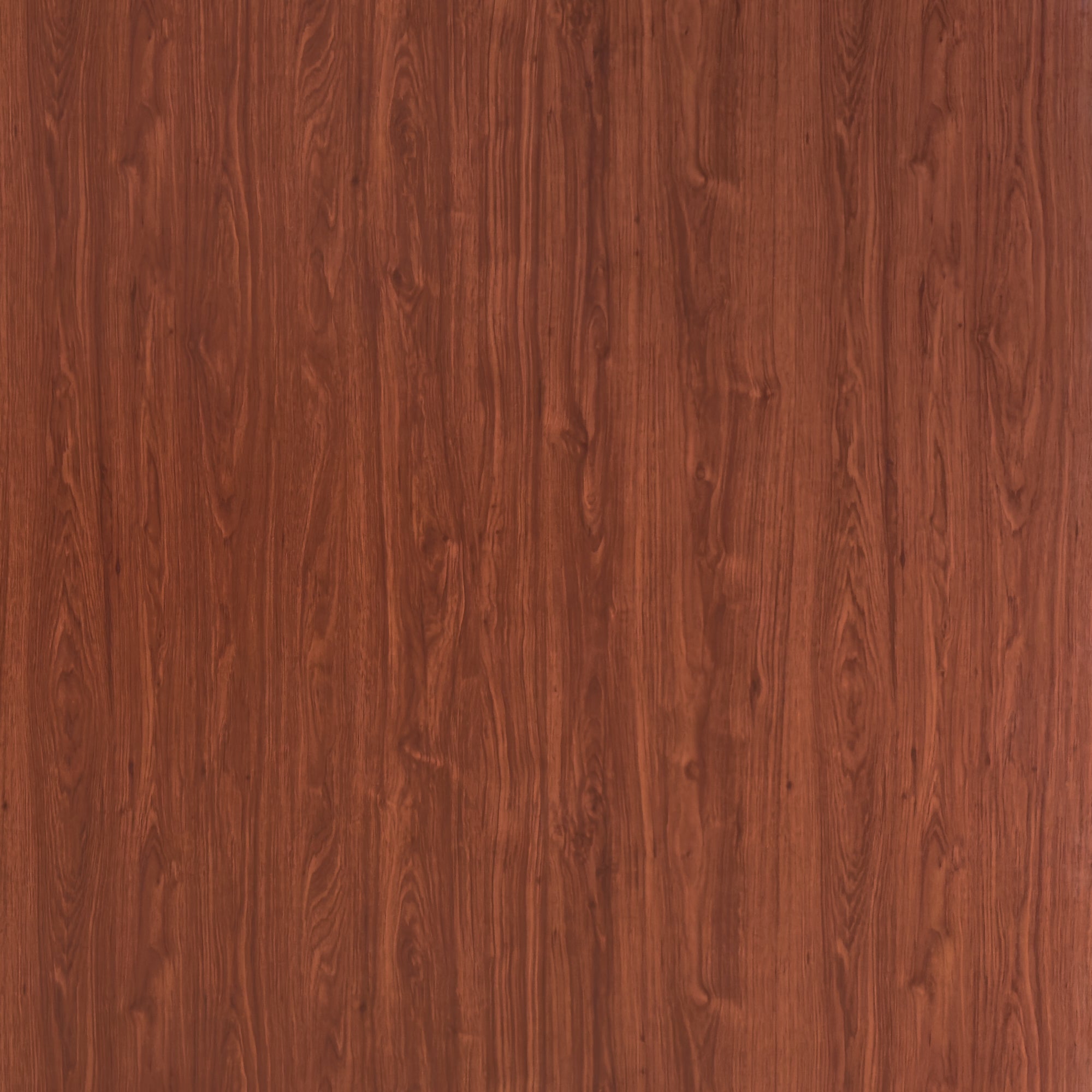 Puerta Cedro Clasico  80x200 cm