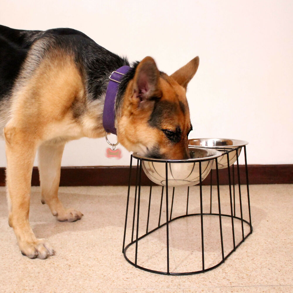 Comedero Elevado Doble para Perros Grandes con Bowls en Acero Inoxidable
