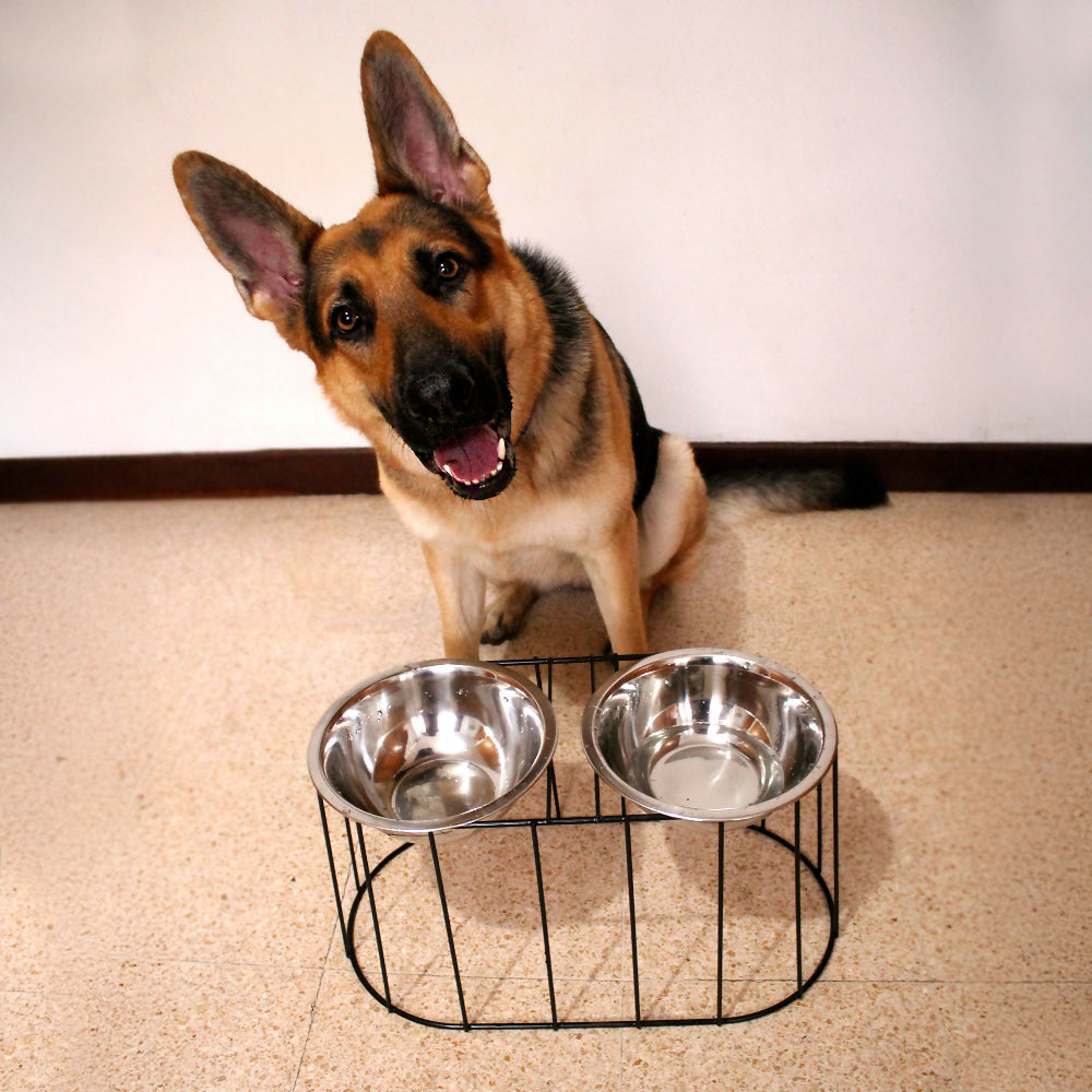 Comedero Elevado Doble para Perros Grandes con Bowls en Acero Inoxidable