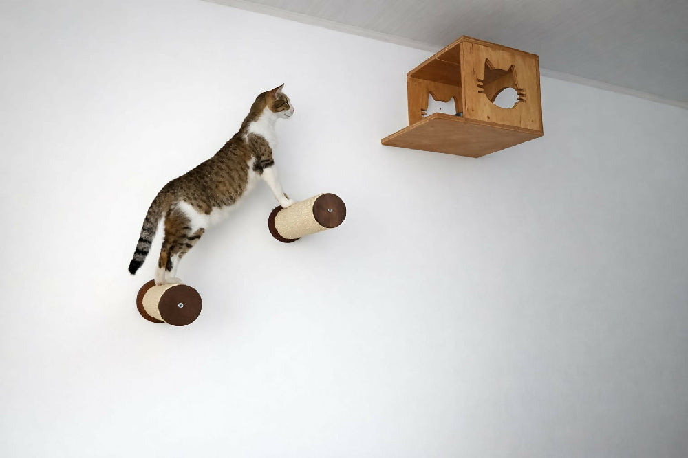 Combo Casa Flotante Volare, Color Cafe Mas 2 Escalones Para Gato