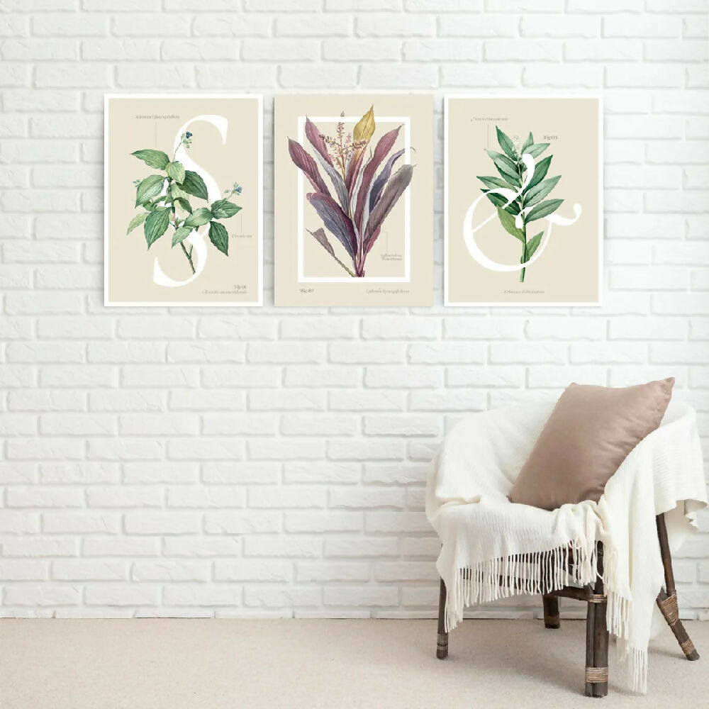 Cuadros decorativos Triptico Abstract Botanic 30x40