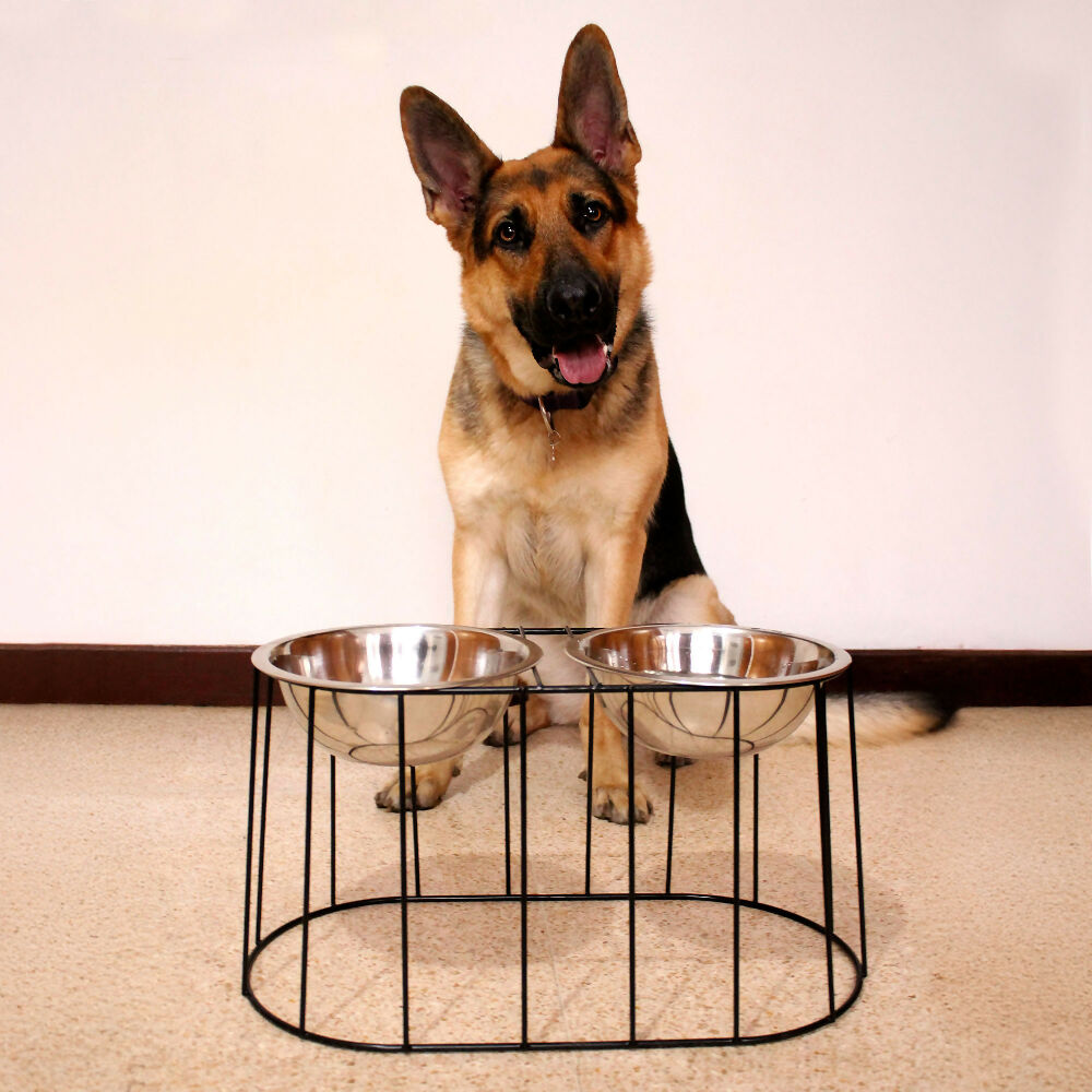 Comedero Elevado Doble para Perros Grandes con Bowls en Acero Inoxidable