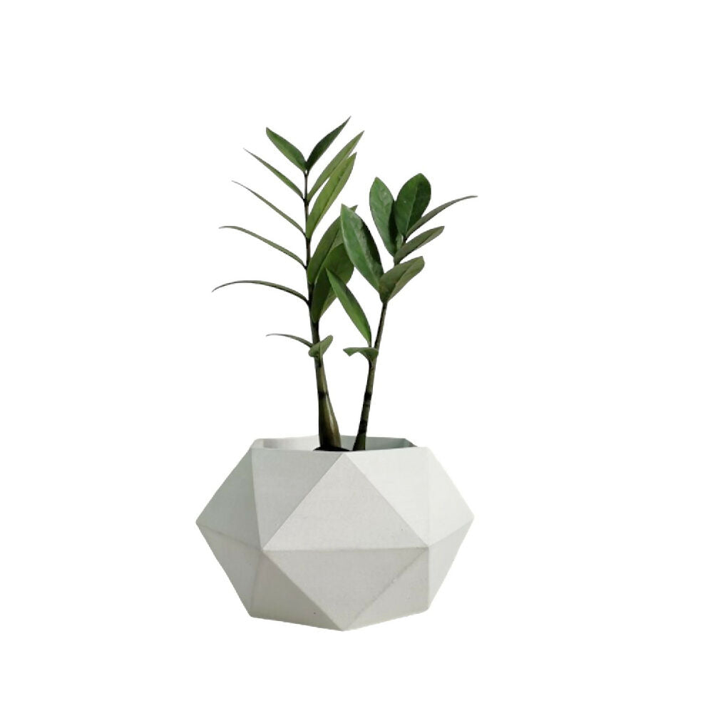 matera de mesa en cemento adara blanco de concreto tienda online de materas y decoración_02
