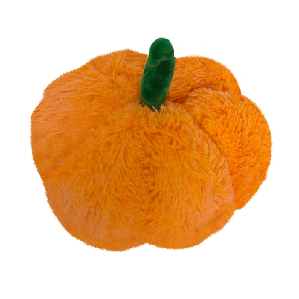 CALABAZA NARANJA (1)