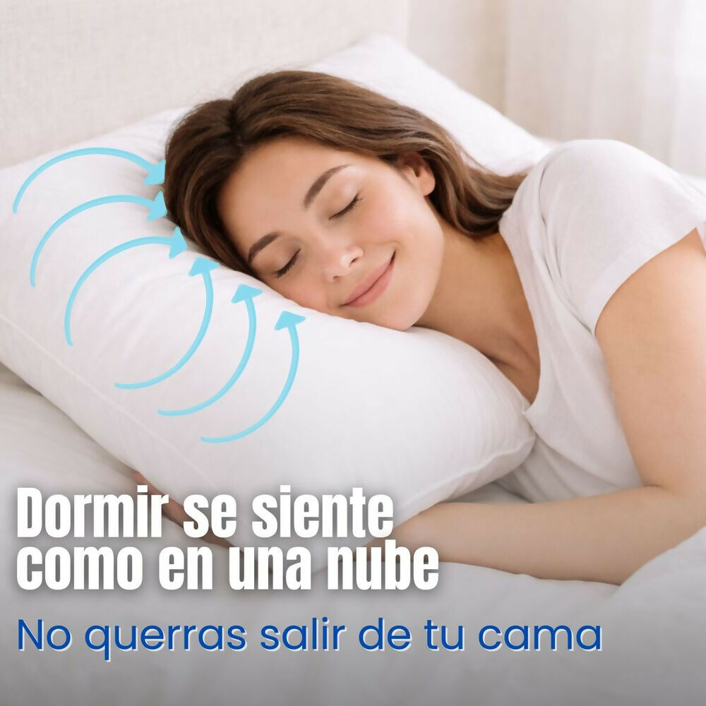 Almohada siliconada con funda 45x65cm Set x2