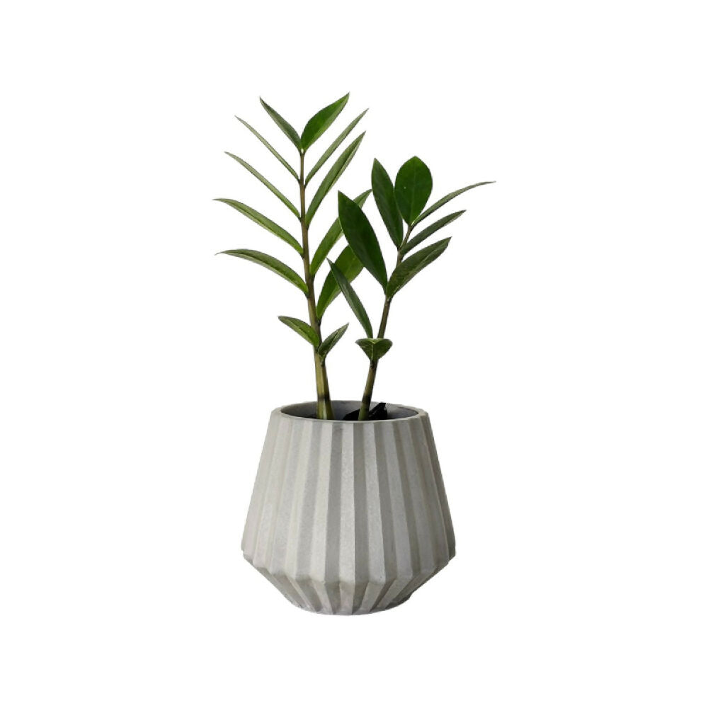matera de mesa en cemento salma gris de concreto tienda online de materas y decoración_02