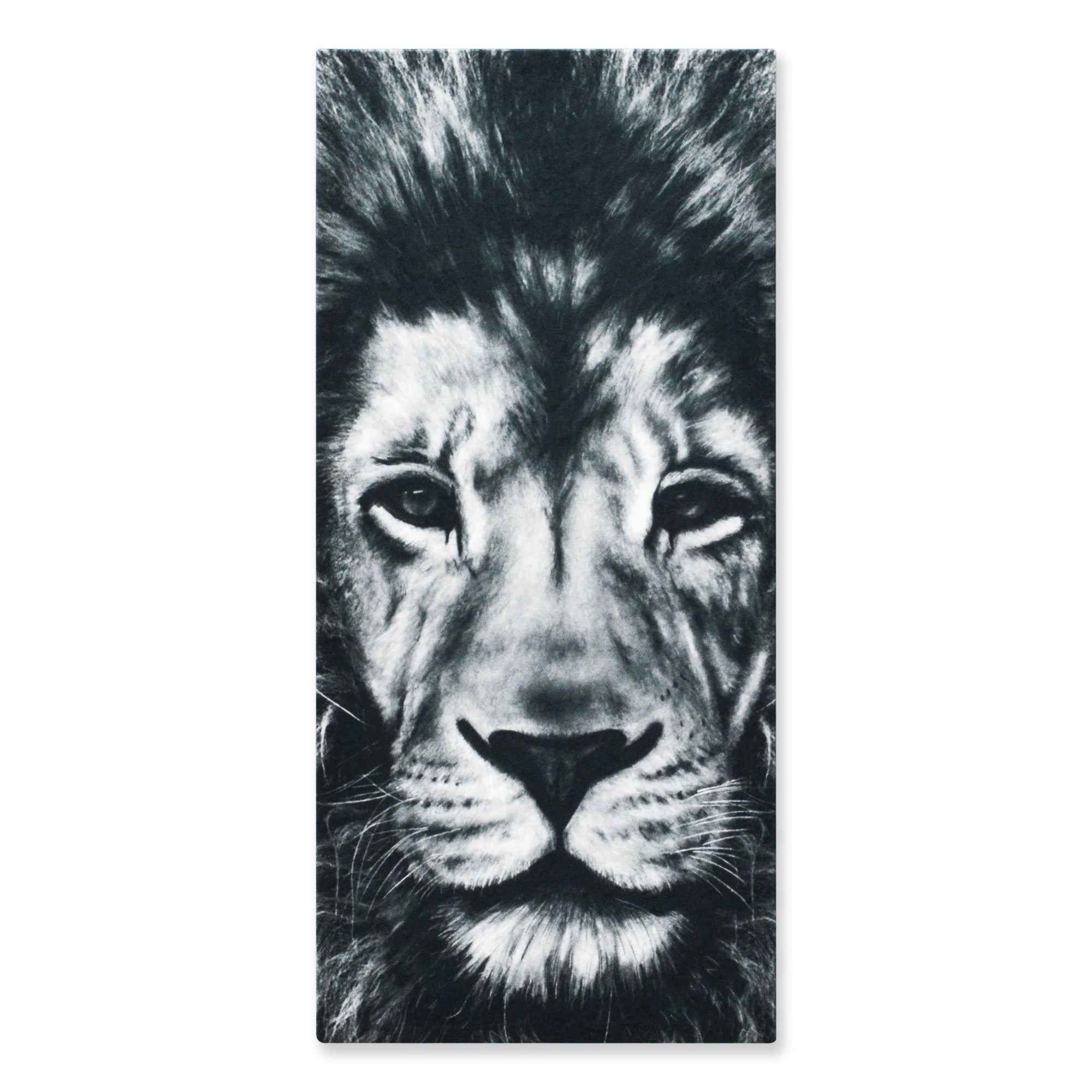 Cuadro Decorativo Leon M 70x45 cm - Impresion en Tela Poliester