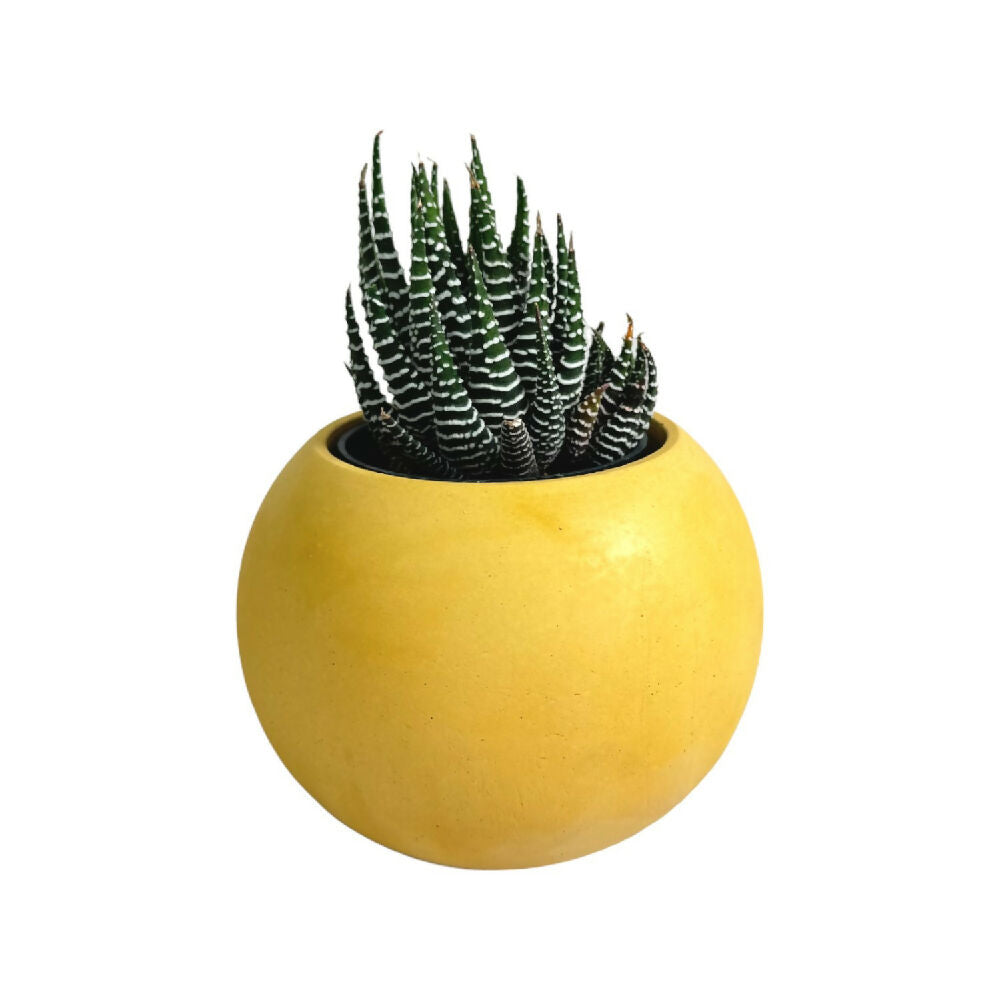 matera de mesa en cemento luna mini amarillo de concreto tienda online de materas y decoración_01
