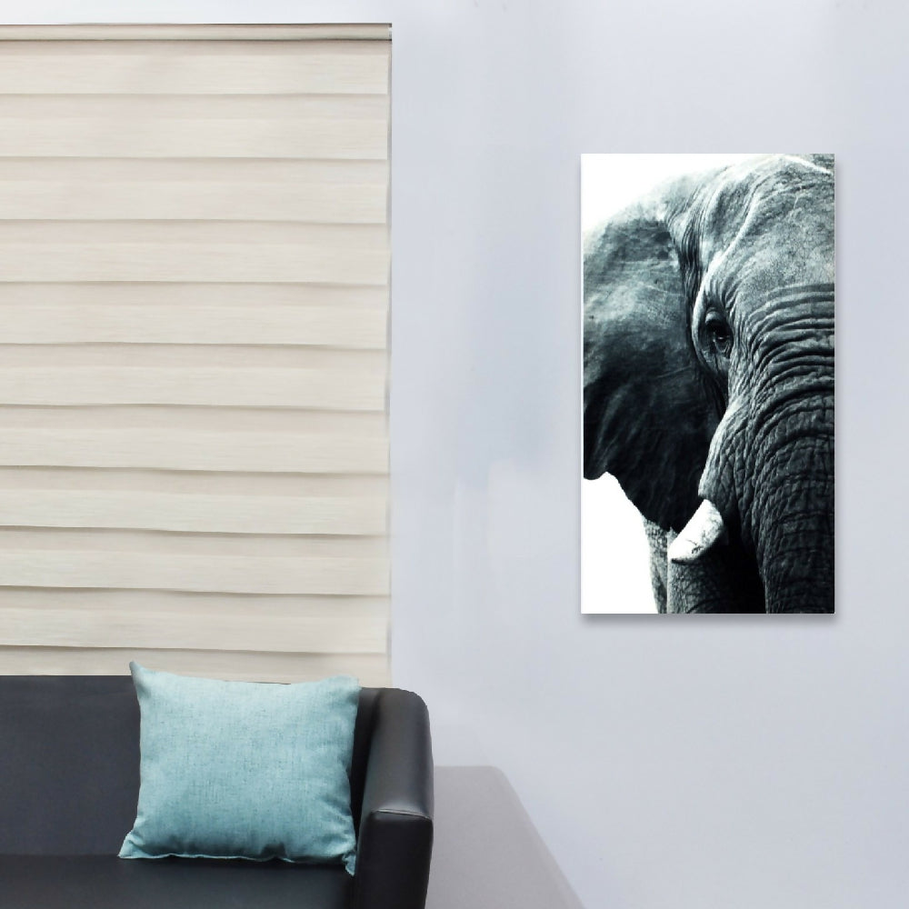 ELEFANTE M_1