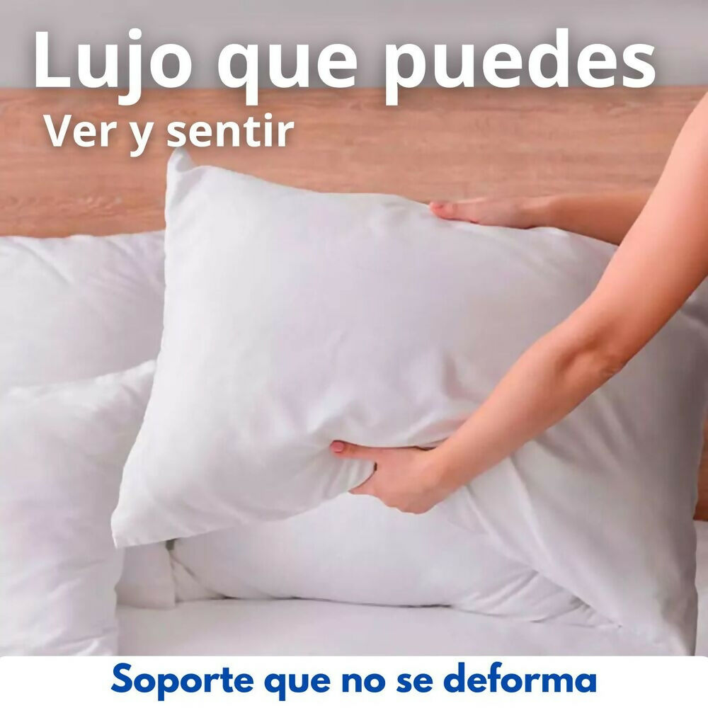 Almohada siliconada con funda 45x65cm Set x2