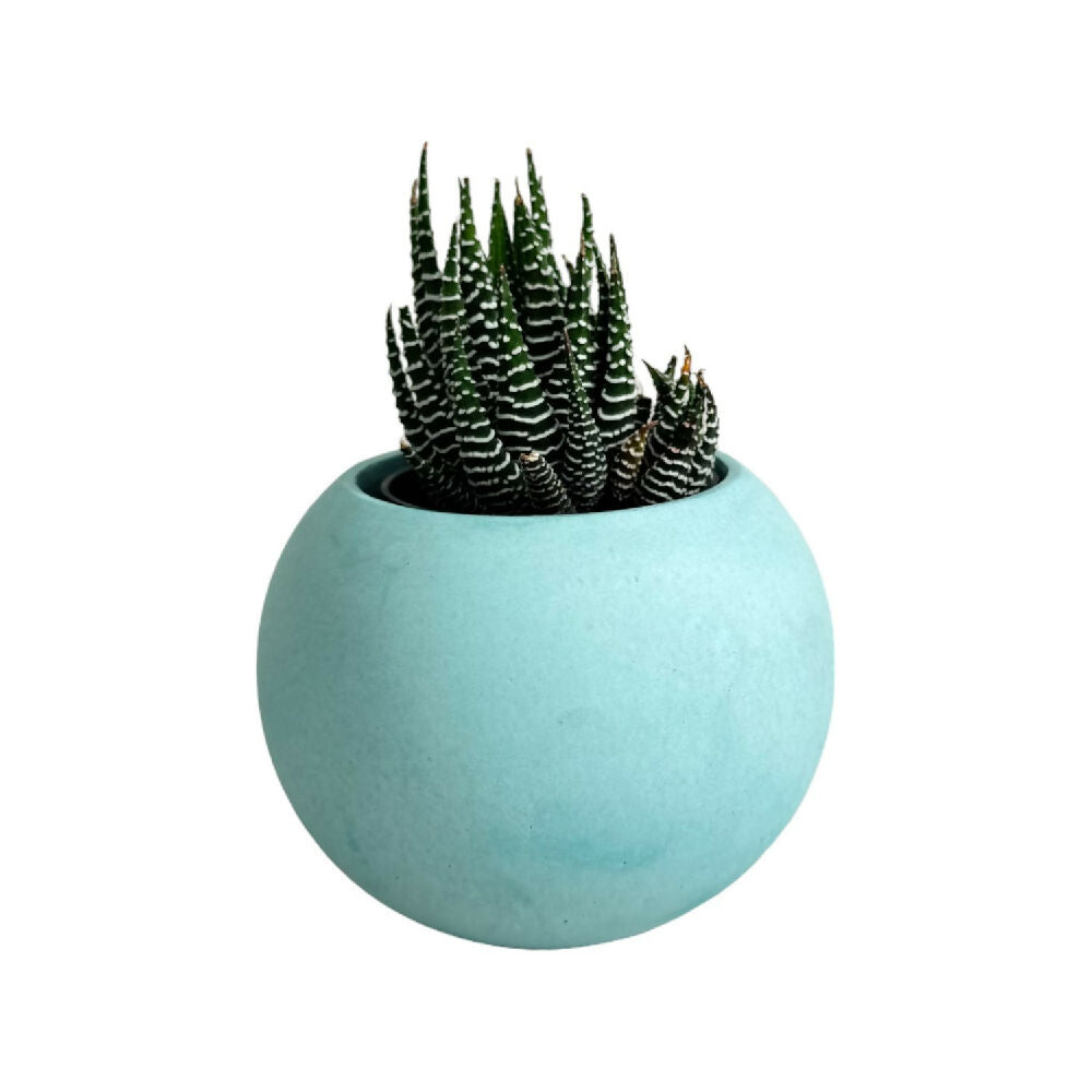 matera de mesa en cemento luna mini aguamarina de concreto tienda online de materas y decoración_01