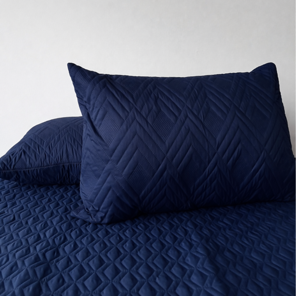 Almohada siliconada + protector almohada azul Set x2