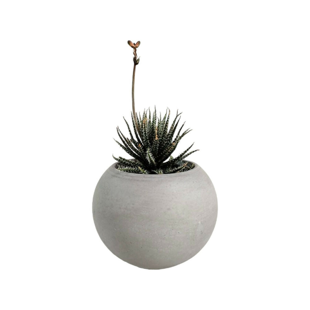 matera de mesa en cemento luna mini gris de concreto tienda online de materas y decoración_01