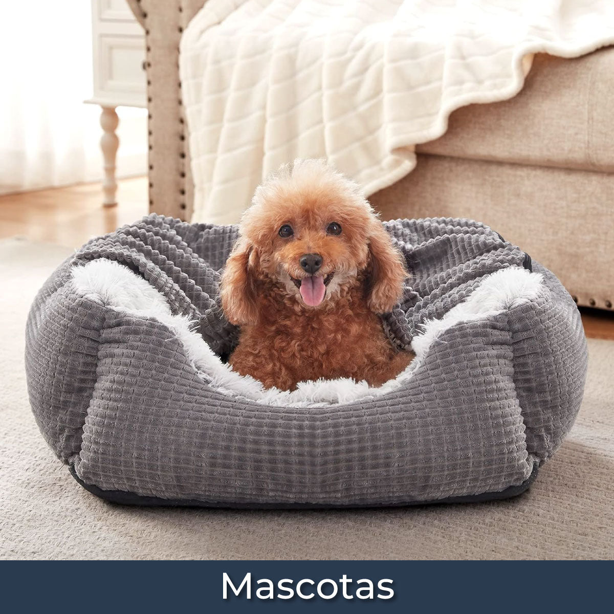 Mascotas CI